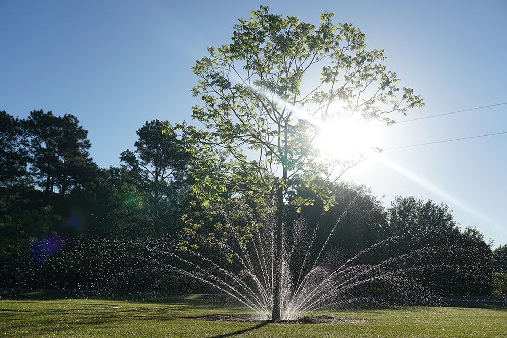 Tree Hugger Sprinklers